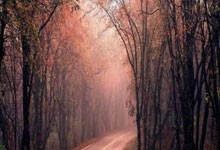 股指杠杆保证金:散户炒股一般买几只股票-冲刺科创板？宇树科技拟四季度提交IPO申请